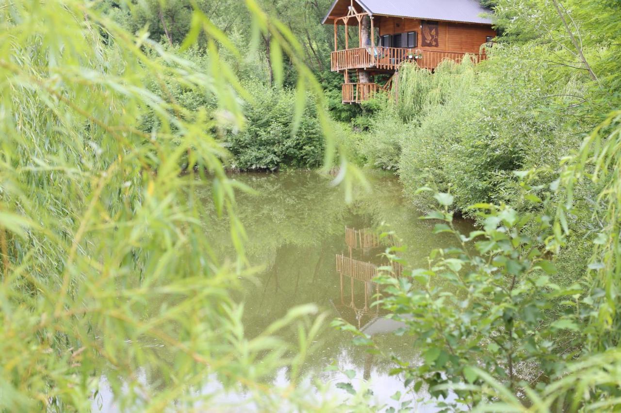 Cuibul Vulturilor - Casuta In Copac Villa Moisei Buitenkant foto