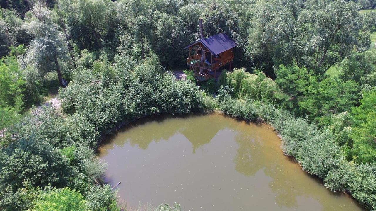 Cuibul Vulturilor - Casuta In Copac Villa Moisei Buitenkant foto