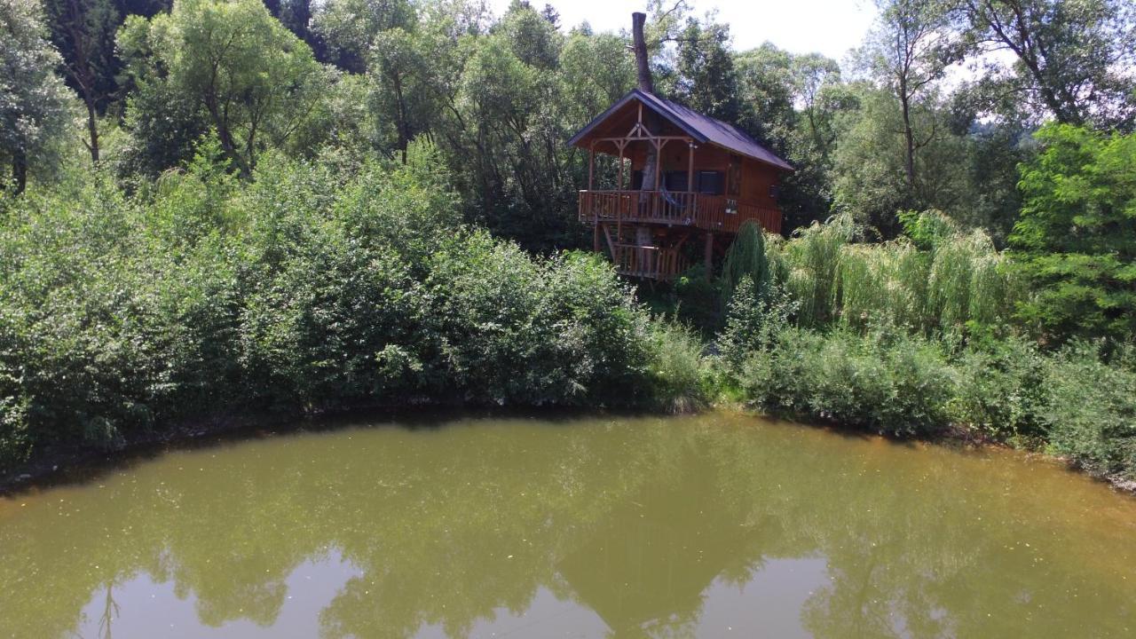 Cuibul Vulturilor - Casuta In Copac Villa Moisei Buitenkant foto