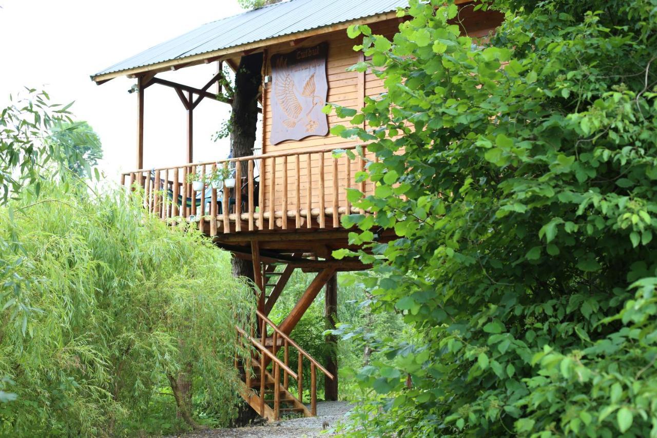 Cuibul Vulturilor - Casuta In Copac Villa Moisei Buitenkant foto