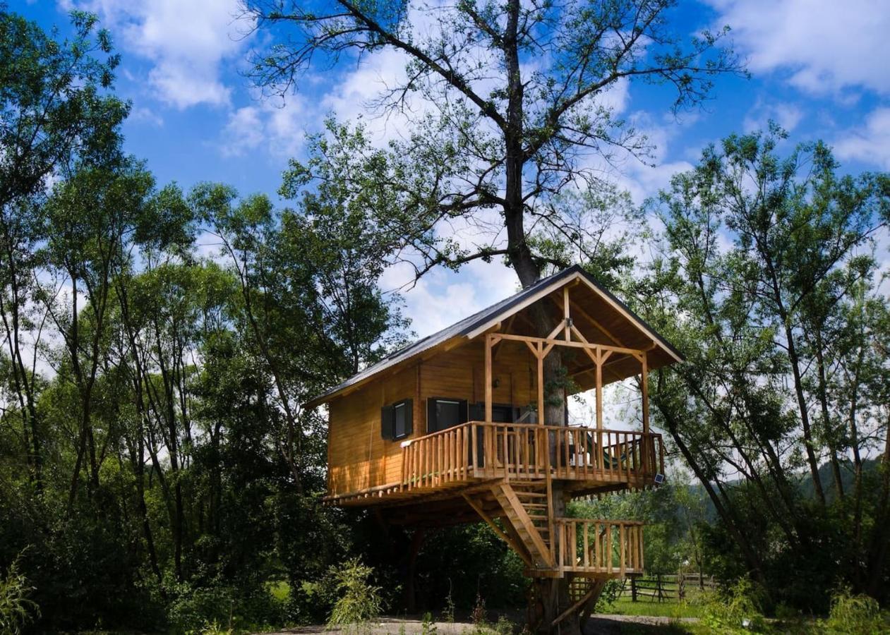 Cuibul Vulturilor - Casuta In Copac Villa Moisei Buitenkant foto